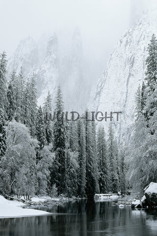 Winter in Yosemite National Park, California MS- 4386