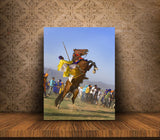 Horsemanship Hollamohallo festival, Anandpursahib, Punjab, India 11600