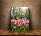 Garden of Pink Tulips in Keukenhof Gardens, Holland! 13104 Flower Art