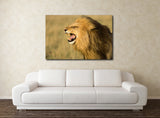 Male Lion Roaring in Masai Mara National Park, Kenya! 15196 Lion Art