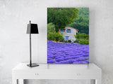 Farm House and Lavender, Provence, France! 15252 Flower Wall Art