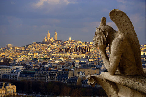 A Gargoyle at Notre Dame and Sacre Coeur Overlooks Paris, France 16228