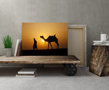 Camel at Sunset, Thar Desert, Jaiselmer, Rajasthan, India! 21601