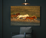 Southern Iceland Horses Running In The Meadow! 22878 Horse Wall Art