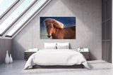 Southern Iceland Horse Posing for the Camera! 24219 Horse Wall Art