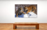 Siberian Tigers Enjoying the Snow in Northeast China! 25486 Tiger Art