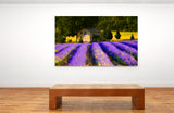 Painting Of A Quaint Farmhouse in Provence, France! 27948