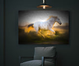 Painting Of Beautiful White Horse in Provence, France! 33024