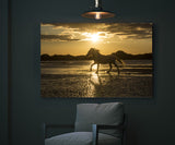 White Horses of the Camargue, Provence, France! 35043 Horse Wall Art