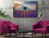 Lavender Fields, Provance, France! 36620 Home Decor Art