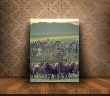 Large Group of Horses on a March In Northern China! 38460 Horse Art