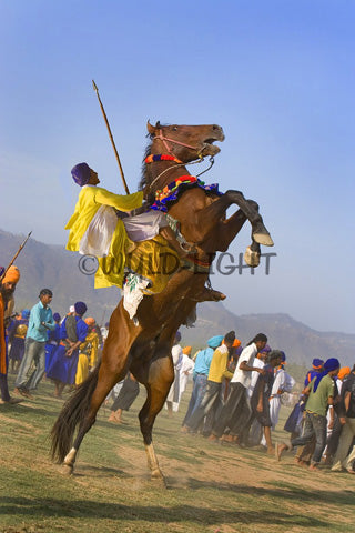 Horsemanship Hollamohallo festival, Anandpursahib, Punjab, India 11600