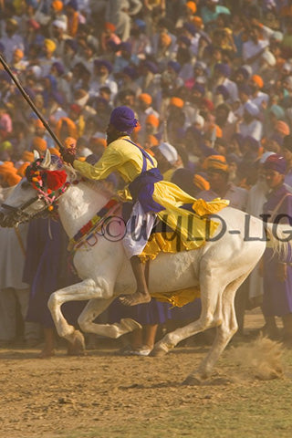 Horsemanship Hollamohallo festival, Anandpursahib, Punjab, India 11783