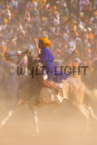 Horsemanship Hollamohallo festival, Anandpursahib, Punjab, India 11803