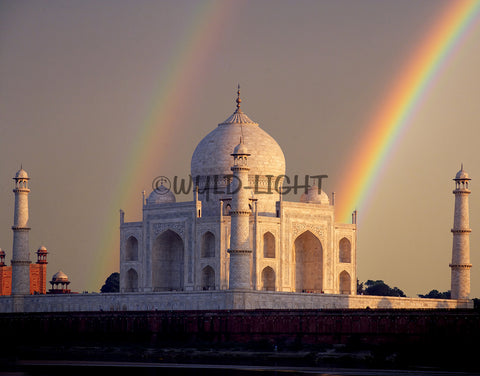 The Taj Mahal, Agra, India! 11502 Print Photography Scenic Photography