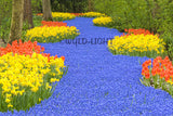 Beautiful Flowers in the Woods in Keukenhof Gardens, Holland! 11849