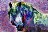 Colorful Art of White Horse of the Camargue in Provence, France 20316