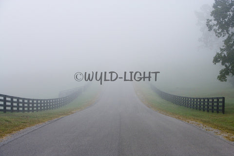 Foggy Road, Middle Tennessee! MS-5835 Print Photography Home Decor Art