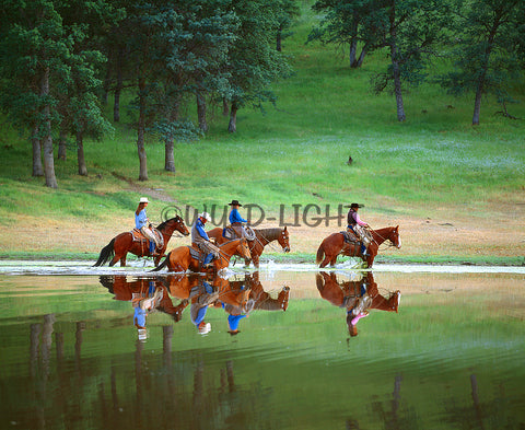Cowboys and Horses on a Ranch, Central California! MS-5911 Horse Art