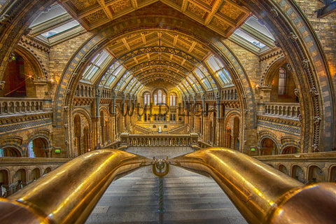 The Natural History Museum, London, England 24000