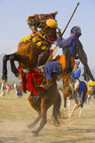 Horsemanship Hollamohallo festival, Anandpursahib, Punjab, India 11759
