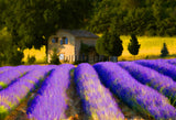 Painting Of A Quaint Farmhouse in Provence, France! 27948