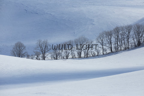Winter Countryside near Kushiro, Hokkaido Island, Japan! 30764