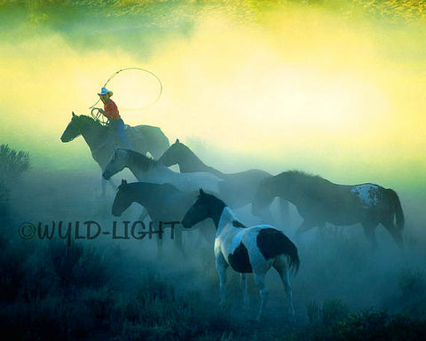 Cowboy Rounding Up Horses after A Long Day in Bend, Oregon! MS-3316