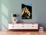 Cowboy in Sunset Light , Central California! MS-4604 Horse Wall Art