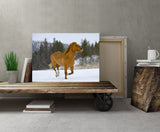 Horse Running Free, Montana! MS-6702 Horse Wall Art Home Decor Art