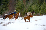 Cowboy Rounding Up Horses in Kalispell, Montana MS-6739 Horse Wall Art