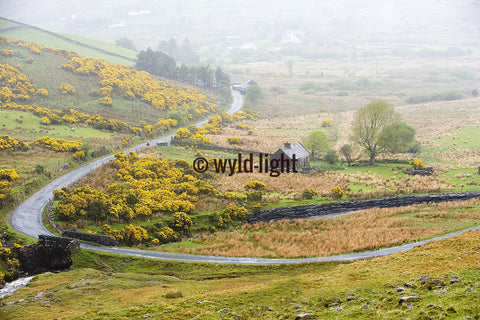 Vista in the Connemara Mountains, County Mayo, Ireland MS-7416