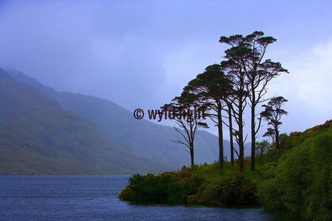 View of a Beautiful Lake in Western Ireland MS-8070