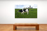 A Curious Cow Investigating My Tripod! MS-8188 Cow Art Home Decor Art