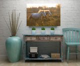 White Horses of the Camargue, Provence, France! MS-9255 Horse Wall Art