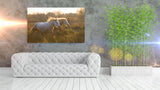 White Horses of the Camargue, Provence, France! MS-9255 Horse Wall Art