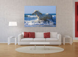 White Horses of the Camargue, Provence, France! MS-9386 Horse Wall Art