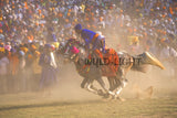Horsemanship Hollamohallo festival, Anandpursahib, Punjab, India 11795
