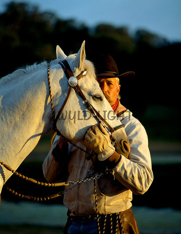 Cowboy in Sunset Light , Central California! MS-4604 Horse Wall Art
