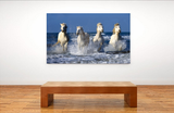 White Horses Galloping Through the Ocean in Provence, France 14180