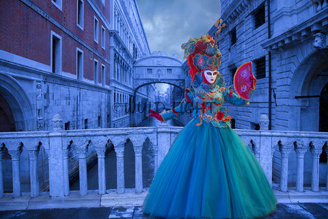 Carnival in Venice, Italy, The Bridge Of Sighs! 34626 Scenic Photo