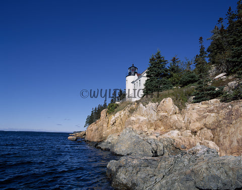 Bass Harbor Light, Acadia National Park, Maine! MS-7545 Travel Photo